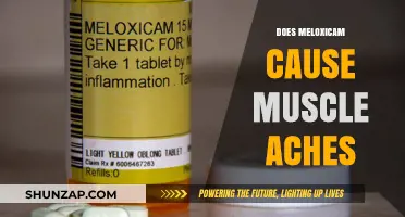 Meloxicam Side Effects: Muscle Aches and Pains