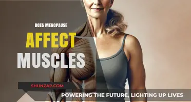 Menopause and Muscle Health: Understanding the Connection