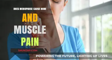 Menopause and Pain: Bone and Muscle Aches