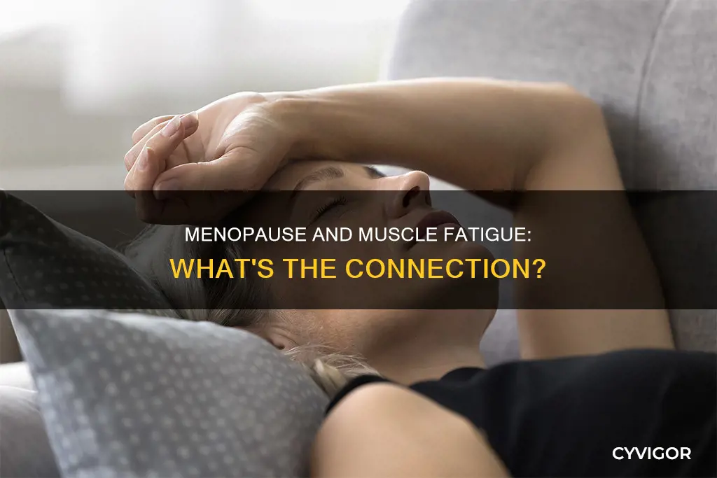 does menopause cause muscle fatigue