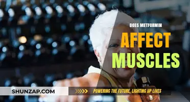 Exploring Metformin's Impact on Muscle Health and Function