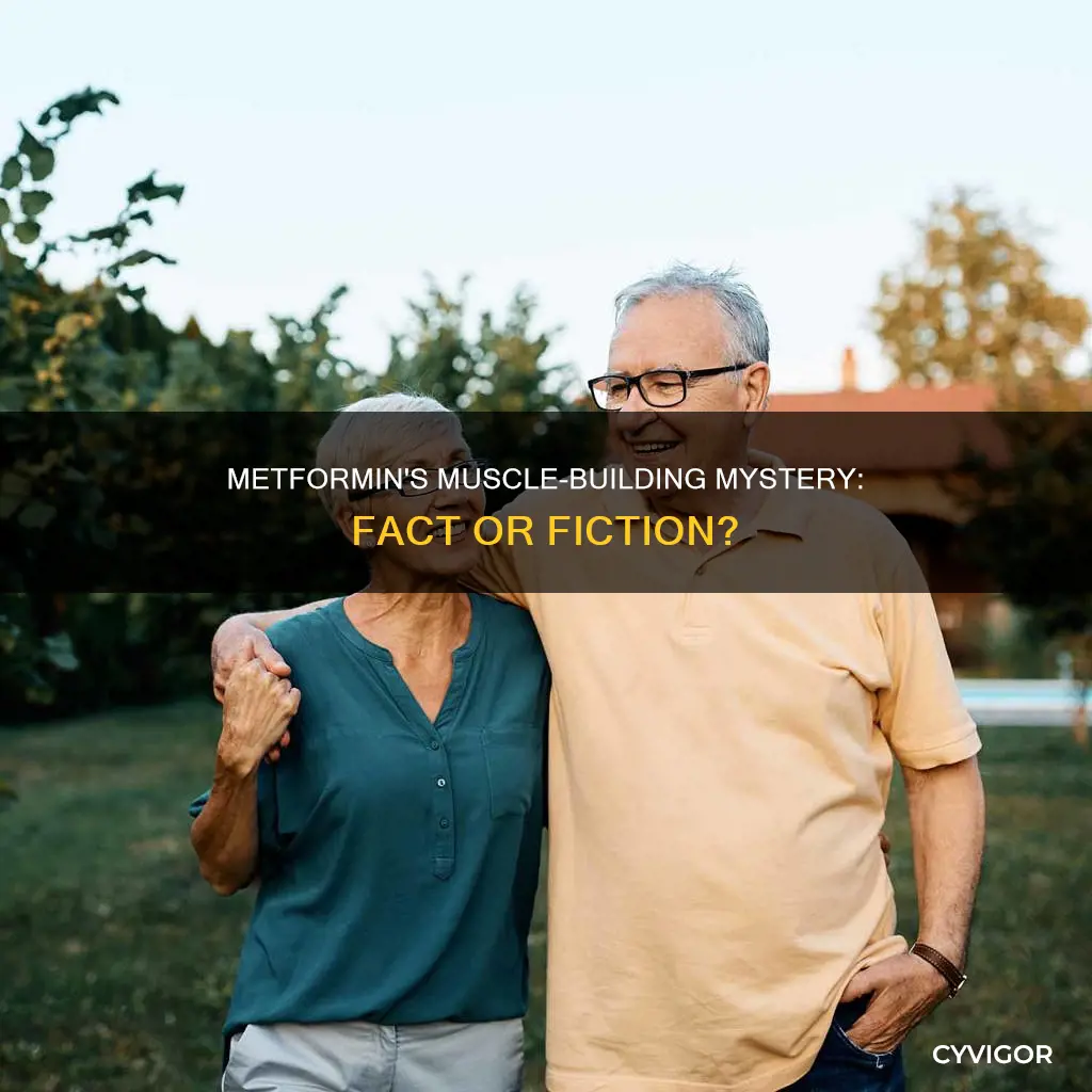 does metformin augment muscles