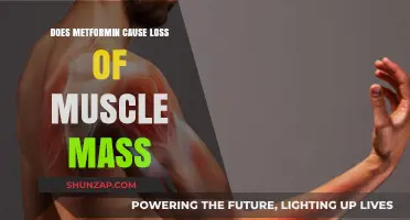 Metformin's Impact: Muscle Loss or Gain?