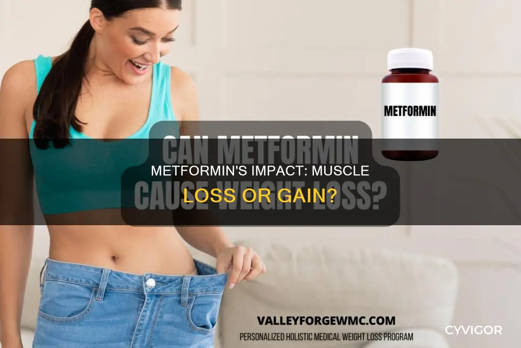 does metformin cause loss of muscle mass