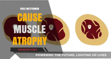 Metformin and Muscle Atrophy: What's the Link?