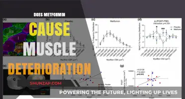 Metformin and Muscle Health: What's the Link?