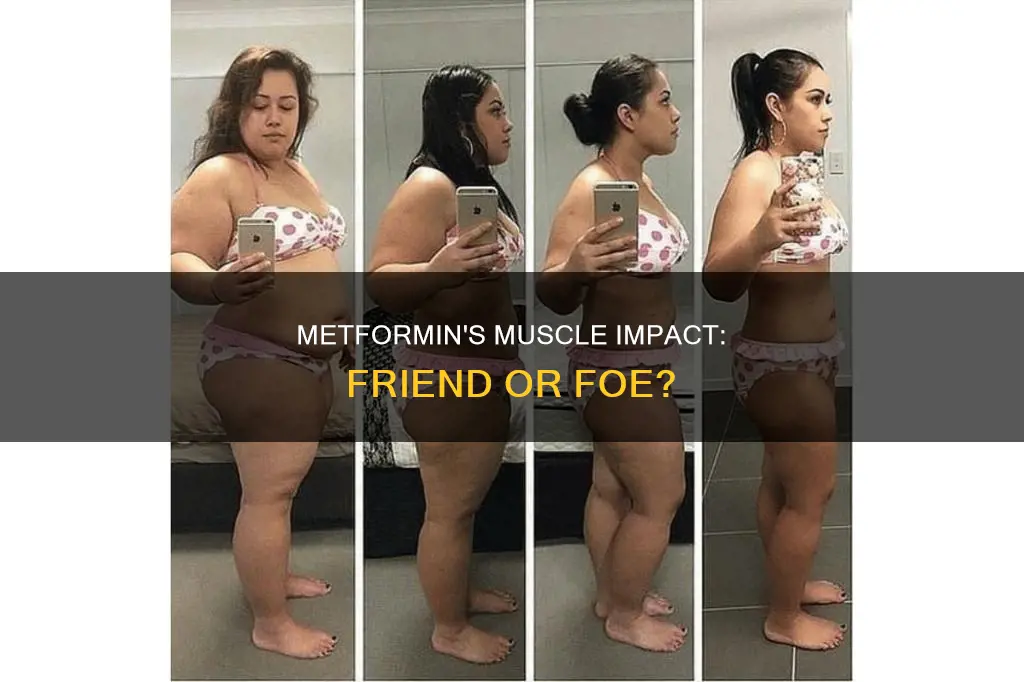 does metformin kill muscle