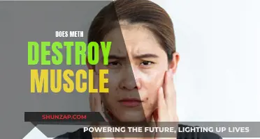 Meth and Muscle: A Destructive Relationship