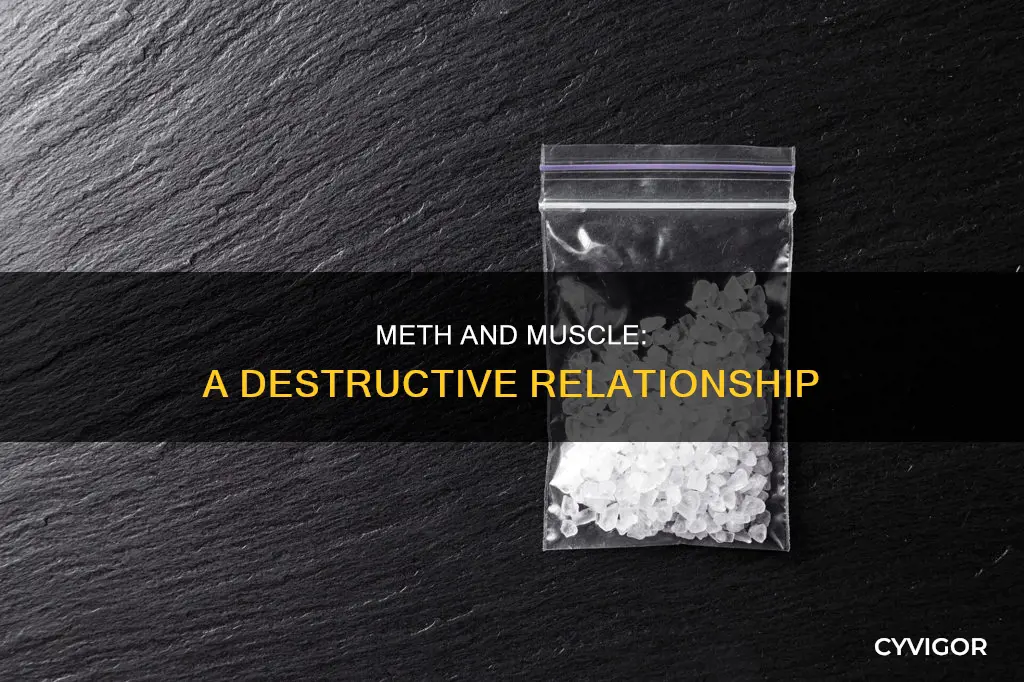does meth destroy muscle