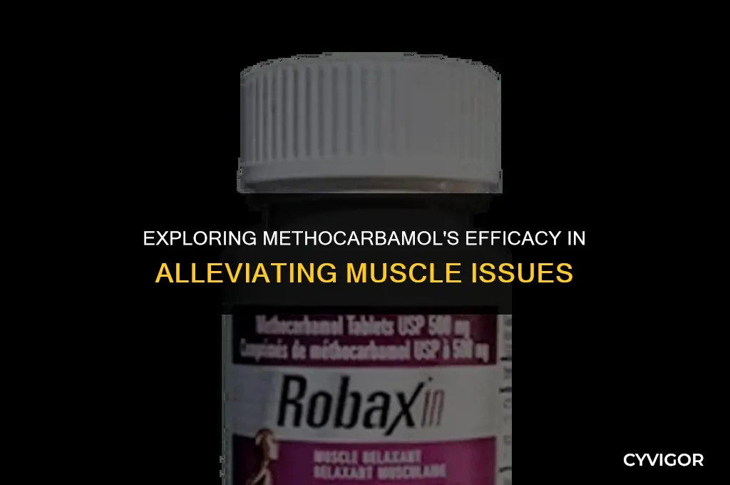 does methocarbamol get rid of muscle problems