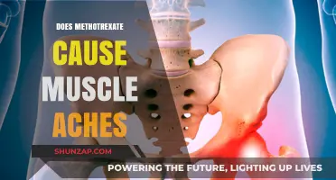 Methotrexate and Muscle Aches: What's the Link?