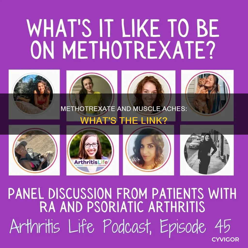 does methotrexate cause muscle aches