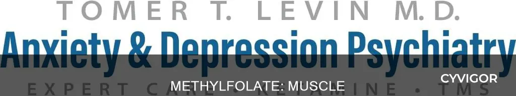 does methylfolate cause muscle pain