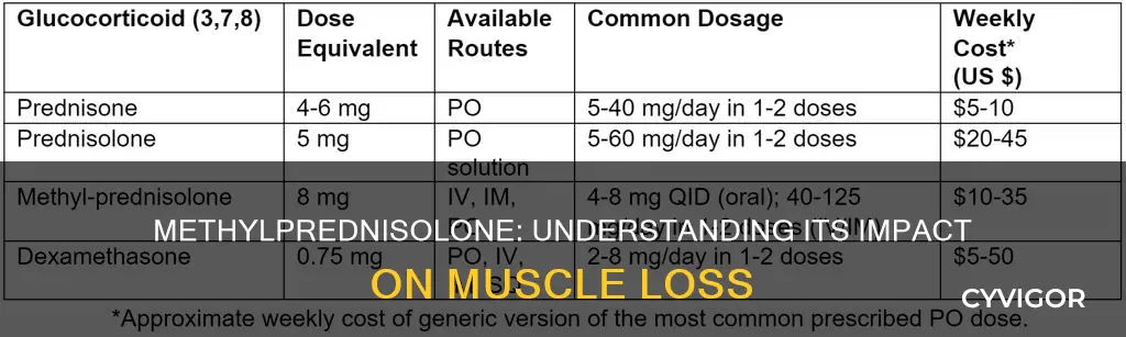 does methylprednisolone cause muscle loss