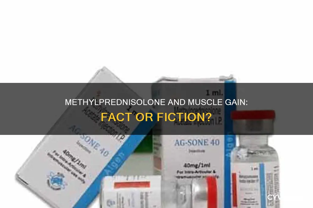 does methylprednisolone make you gain muscle