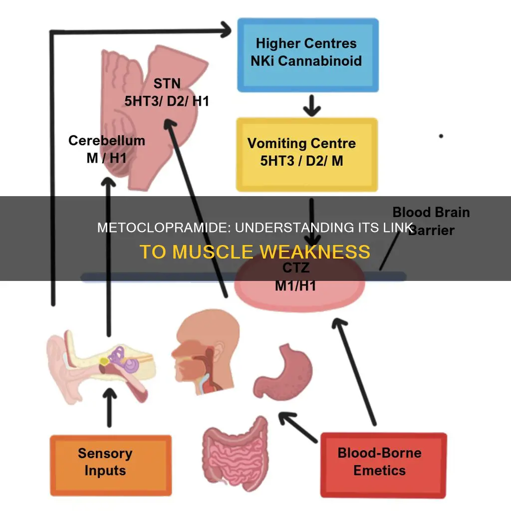 does metoclopramide cause muscle weakness