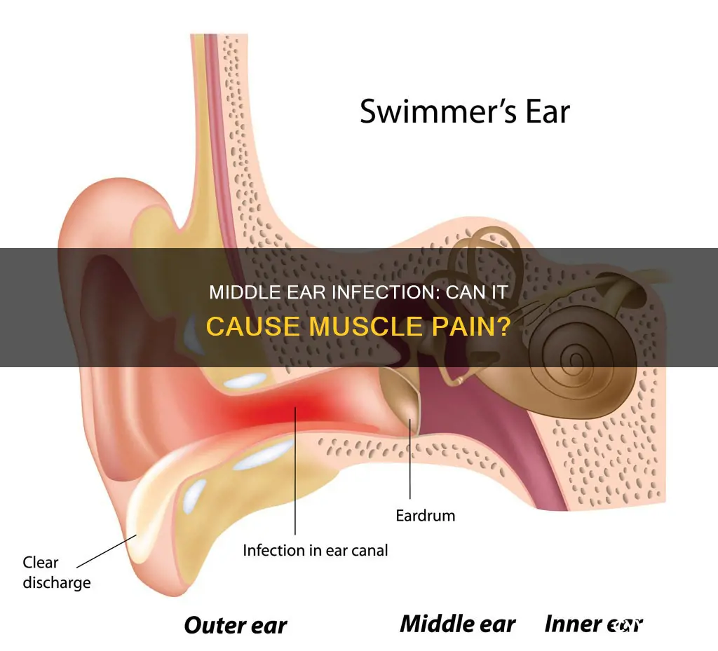 does middle ear infection cause muscle pain