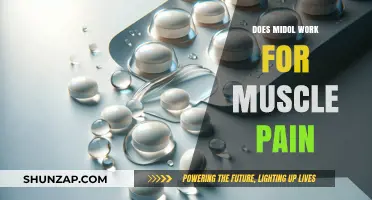 Does Midol Relieve Muscle Pain? Exploring Its Uses and Effectiveness