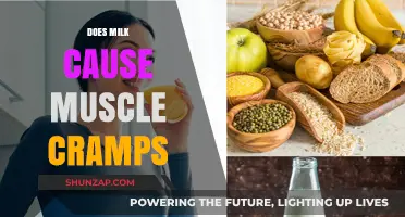 Milk and Muscle Cramps: Is There a Link?