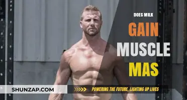 Milk and Muscle Gain: Unlocking the Truth Behind Dairy's Role