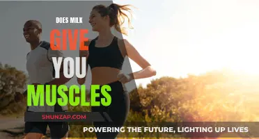 Muscle-Building and Milk: Is There a Link?