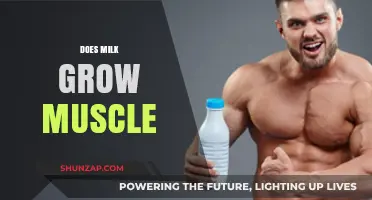 Does Milk Build Muscle? Uncovering the Truth for Fitness Enthusiasts