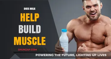 Does Milk Help Build Muscle: The Dairy Dilemma for Fitness Enthusiasts