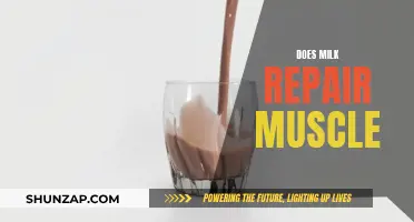 Muscle Repair and Milk: What's the Connection?