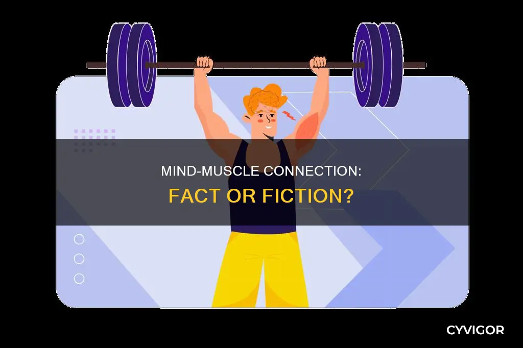 does mind muscle connection matter