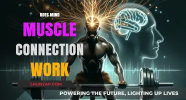 Unlocking Strength: The Science Behind Mind-Muscle Connection Explained