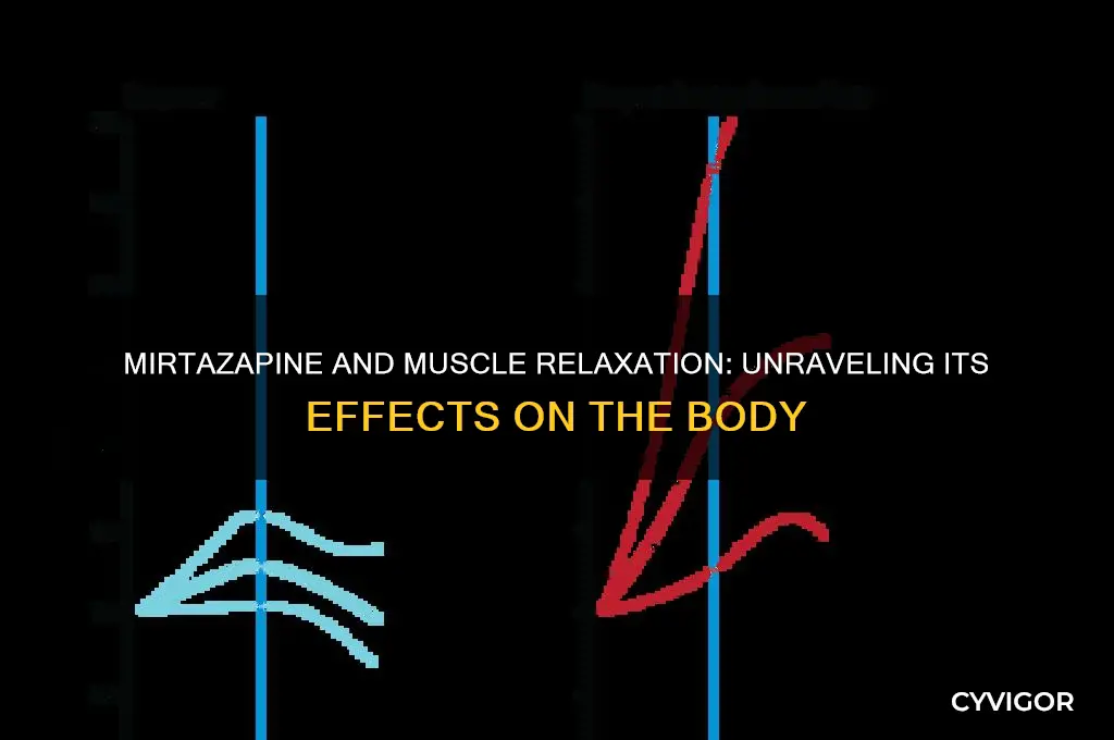 does mirtazapine relax muscles