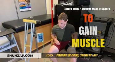 Muscle Atrophy's Impact: Does It Hinder Future Muscle Gain?