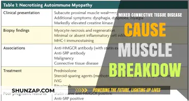 Understanding Mixed Connective Tissue Disease's Impact on Muscles