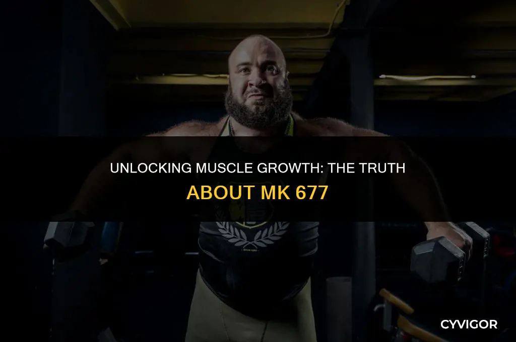 does mk 677 build muscle