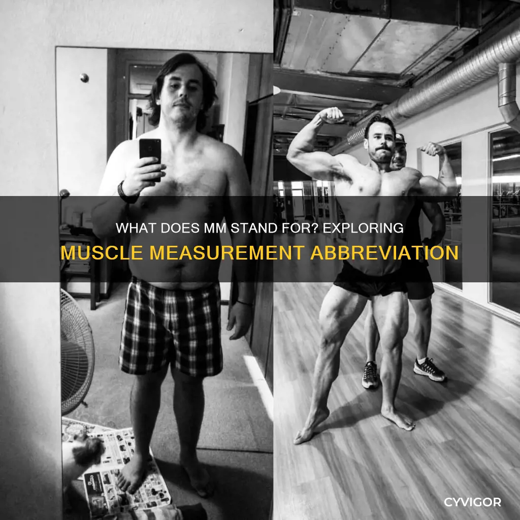 does mm stand for muscles