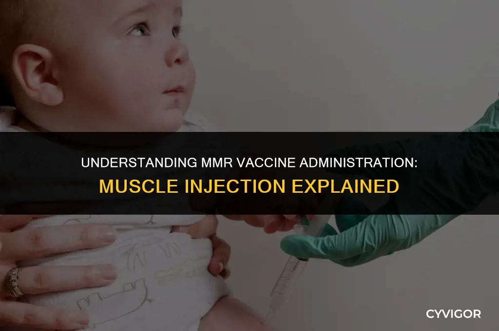 does mmr get injected into muscle