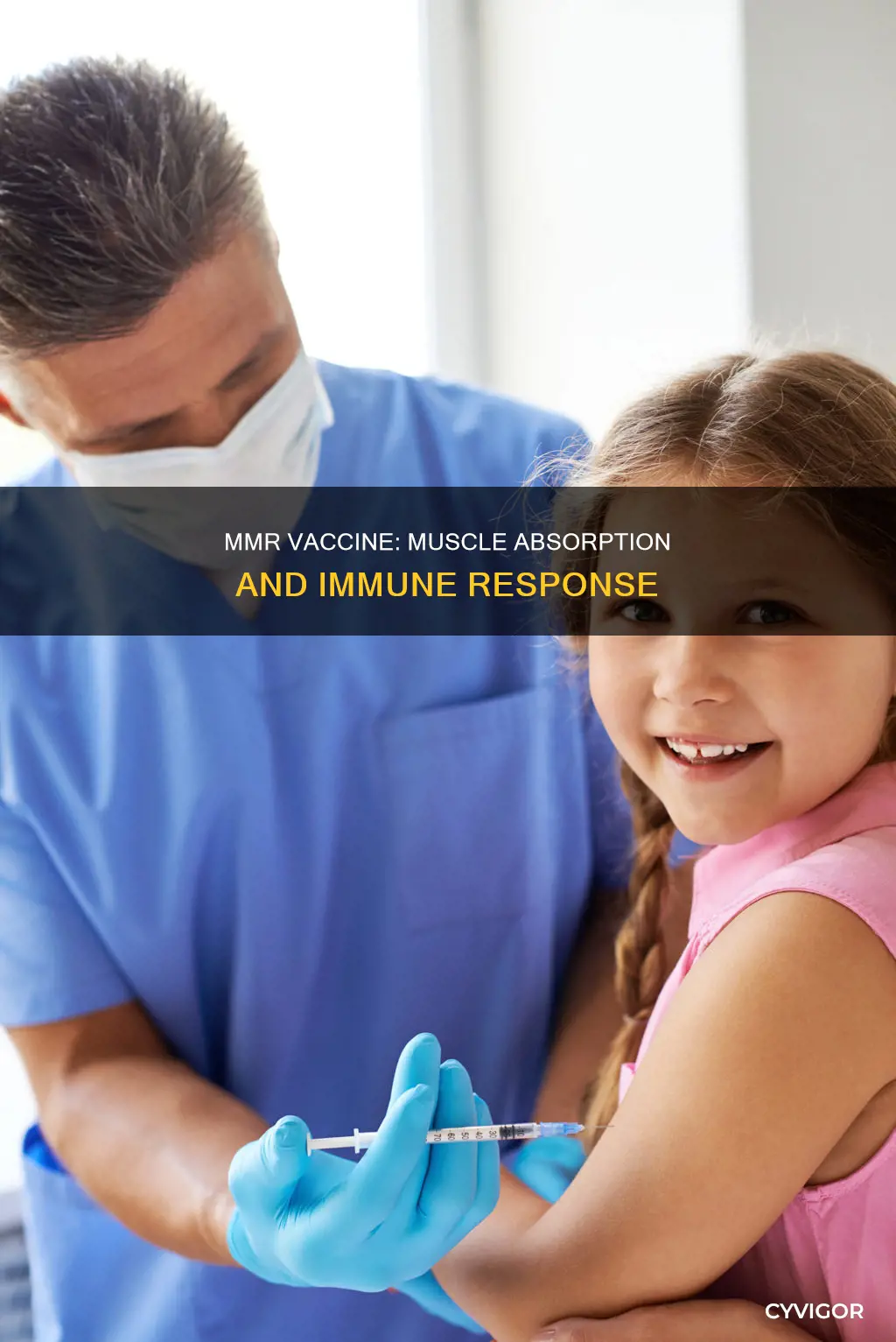 does mmr go into muscle