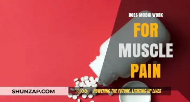 Does Mobic Effectively Relieve Muscle Pain? A Comprehensive Review