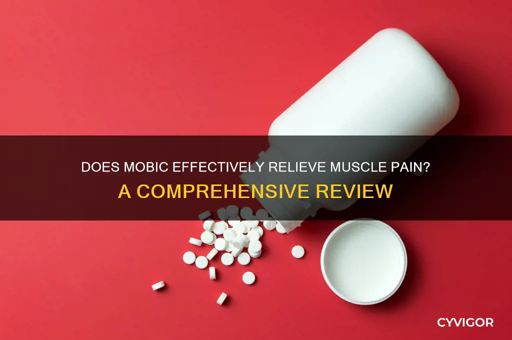 does mobic work for muscle pain