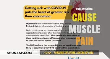 Modern's Muscle Pain Mystery: Unveiling the Truth