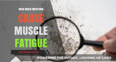 Mold Infection and Muscle Fatigue: Is There a Link?