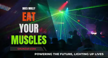 How MDMA Impacts Muscle Loss and Degradation