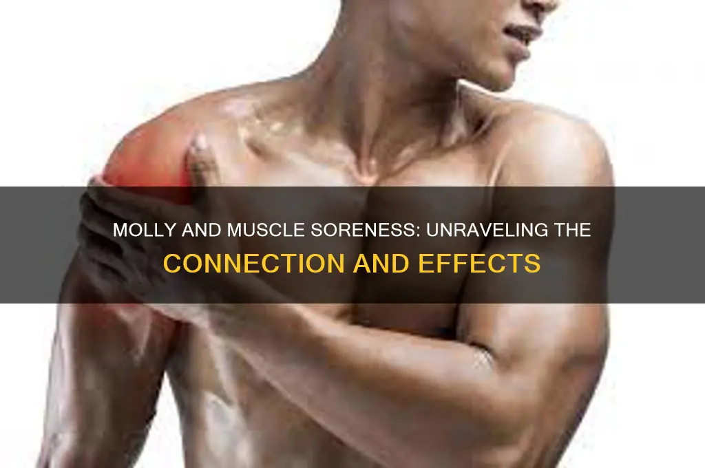 does molly make your muscles sore