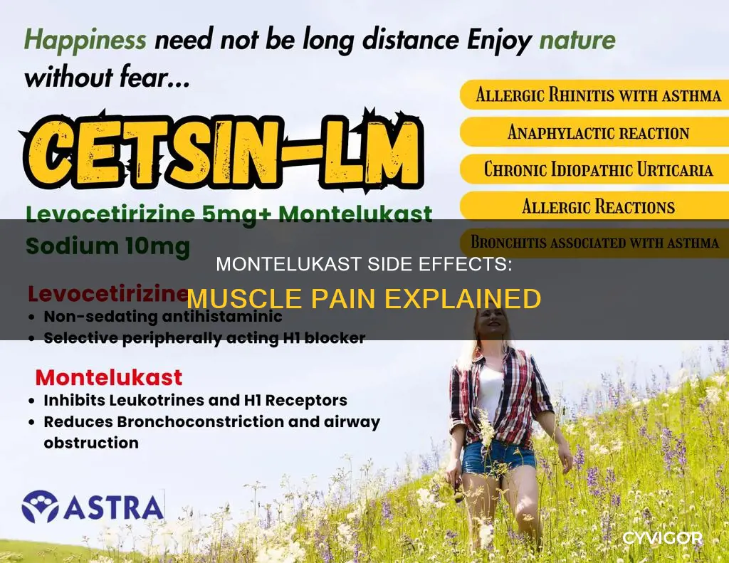 does montelukast cause muscle pain
