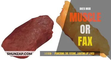 Building Muscle: The Power of Lifting Weights and Facts