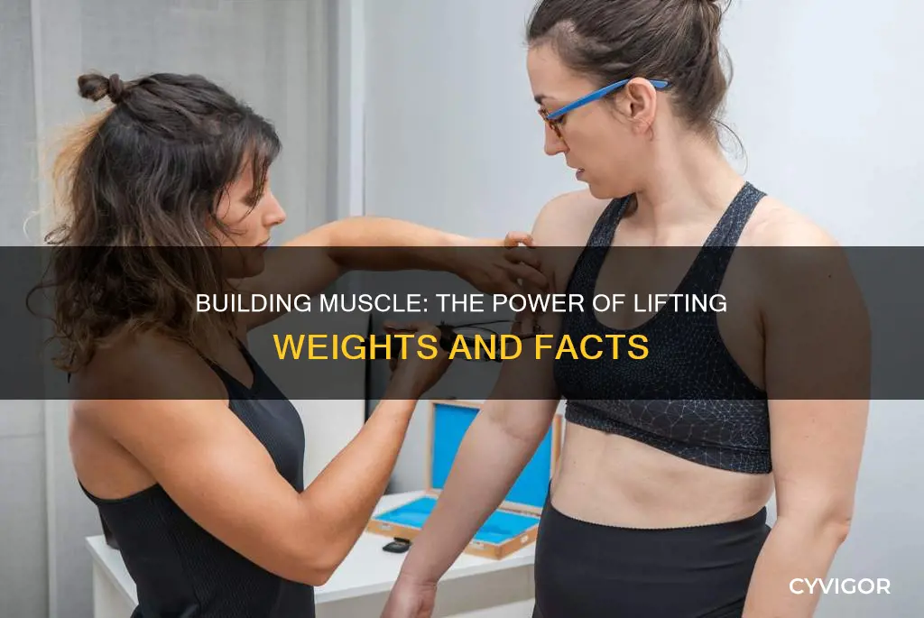 does mor muscle or fax
