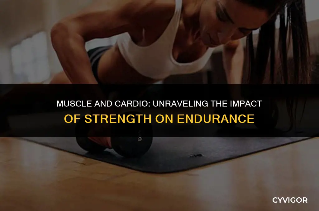 does more muscle affect cardio