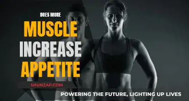 Muscle Gain and Appetite: Is There a Link?
