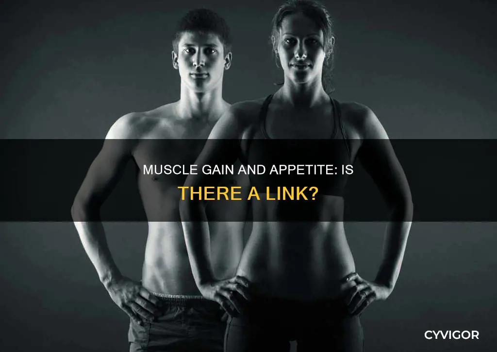 does more muscle increase appetite