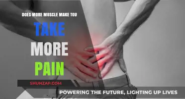 Muscle Mass and Pain Tolerance: Does Strength Equal Endurance?